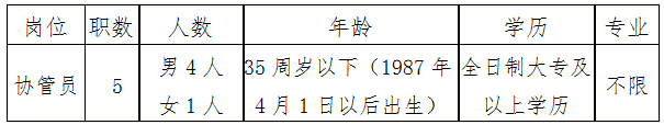 招聘崗位、職數及條件 